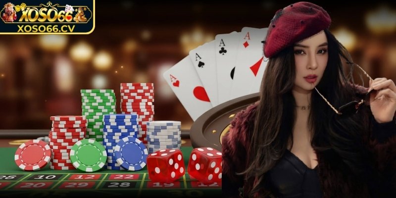 Con đường khởi nghiệp đầy gian truân và thách thức