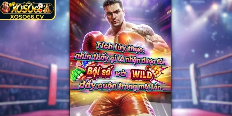 Khám phá chi tiết về Cú đấm giàu sang XOSO66 