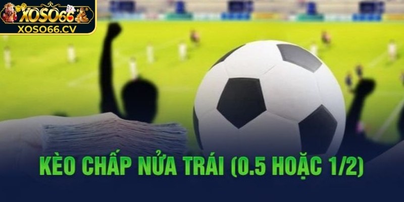 Tìm hiểu chi tiết về kèo 1/2 XOSO66