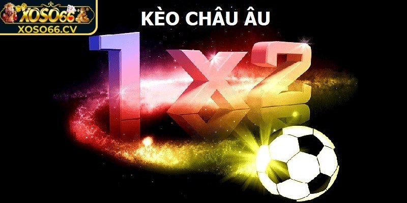 Cách tính thưởng chi tiết, rõ ràng cho hội viên