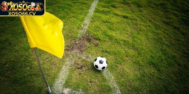 Bí quyết cược thắng lớn chuyên gia chia sẻ