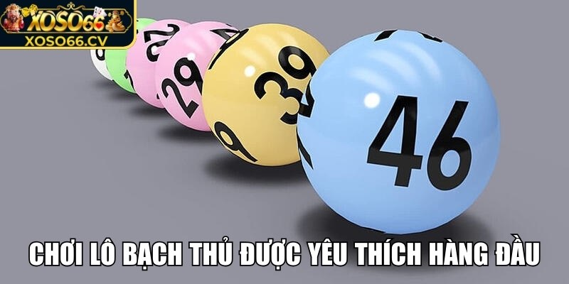 Tìm hiểu chi tiết lô bạch thủ XOSO66