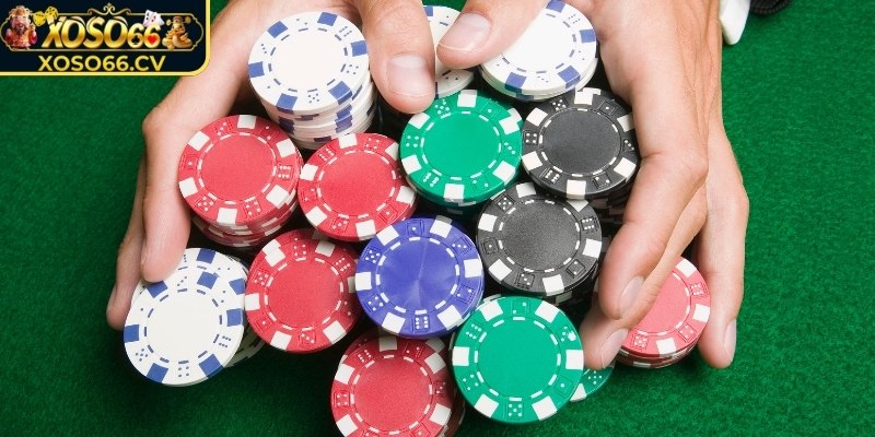 Chiến lược chơi cược theo chuỗi thắng thua